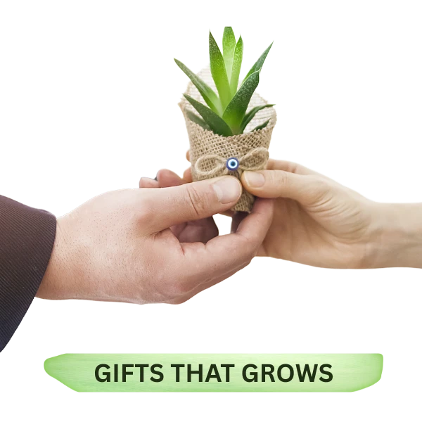 Gifts that Grow
