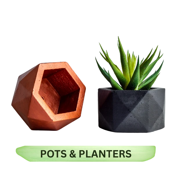 Pots & Planters