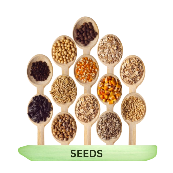 Seeds